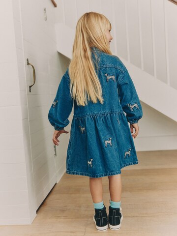 Next Kleid in Blau