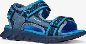 GEOX Sandale in Blau: Vorderseite