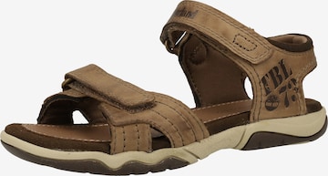 TIMBERLAND Sandale in Brown: front