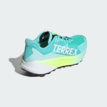 ADIDAS TERREX Loopschoen 'Agravic 3' in Blauw