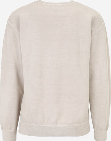 BDG Urban Outfitters Sweatshirt in Grau