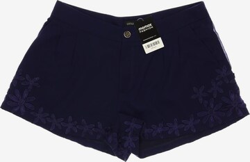 Little Mistress Shorts in XL in Blue: front