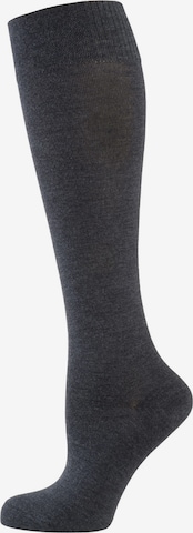 Nur Die Knee High Socks ' Bambus ' in Grey: front