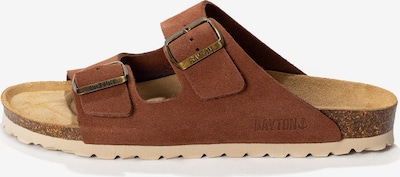 Bayton Pistokkaat 'Atlas' värissä ruskea, Tuotenäkymä