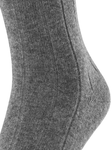 FALKE Socks 'Lhasa Rib' in Grey
