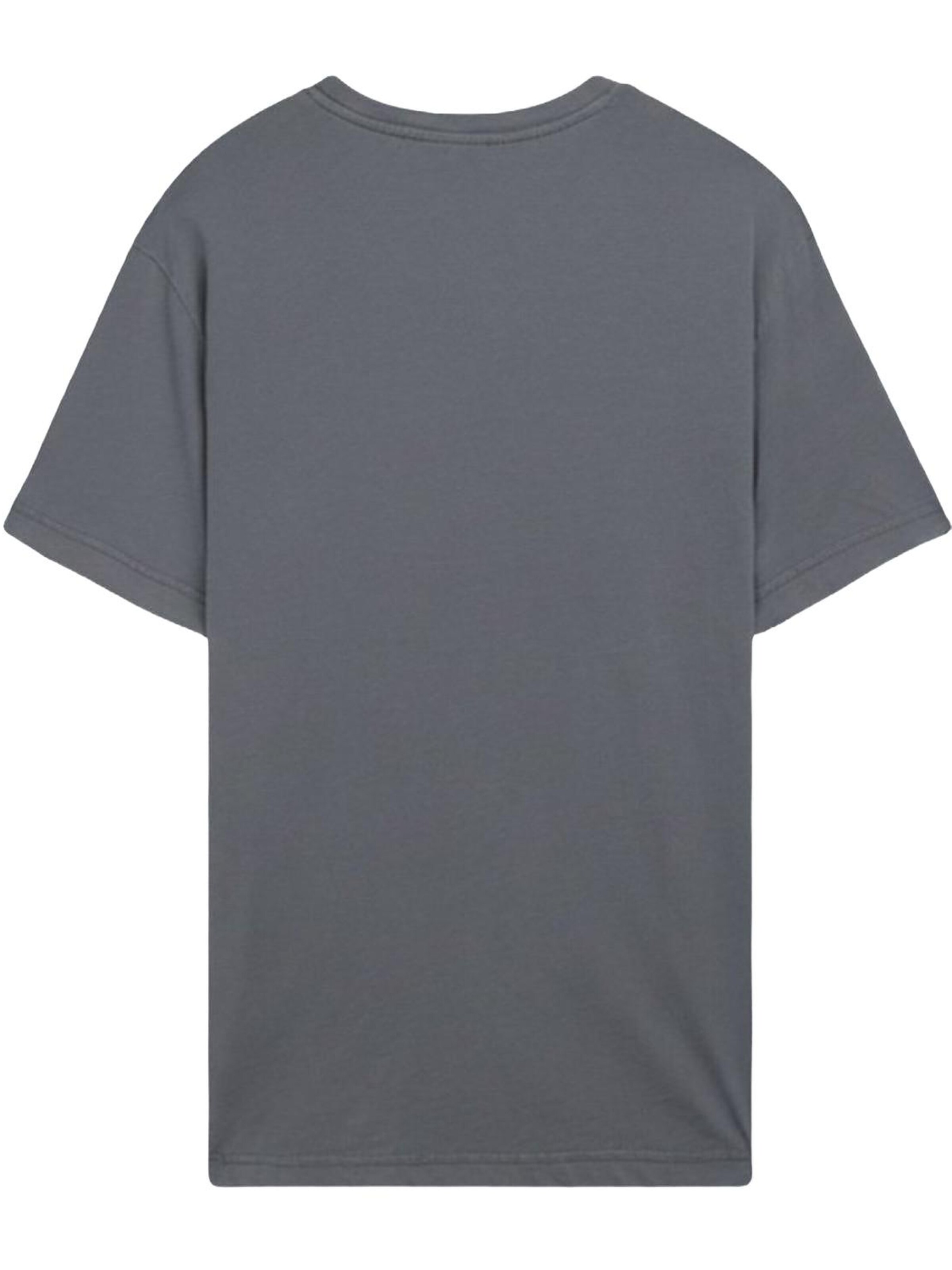 LTB Jeans Shirt‌‌‌‌‌‌‌‌‌‌ in Grau