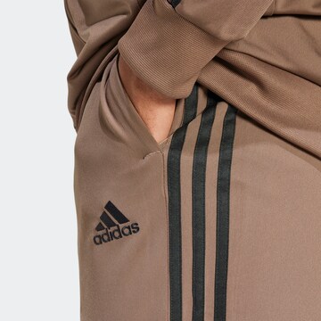 ADIDAS SPORTSWEAR Trainingsanzug in Braun