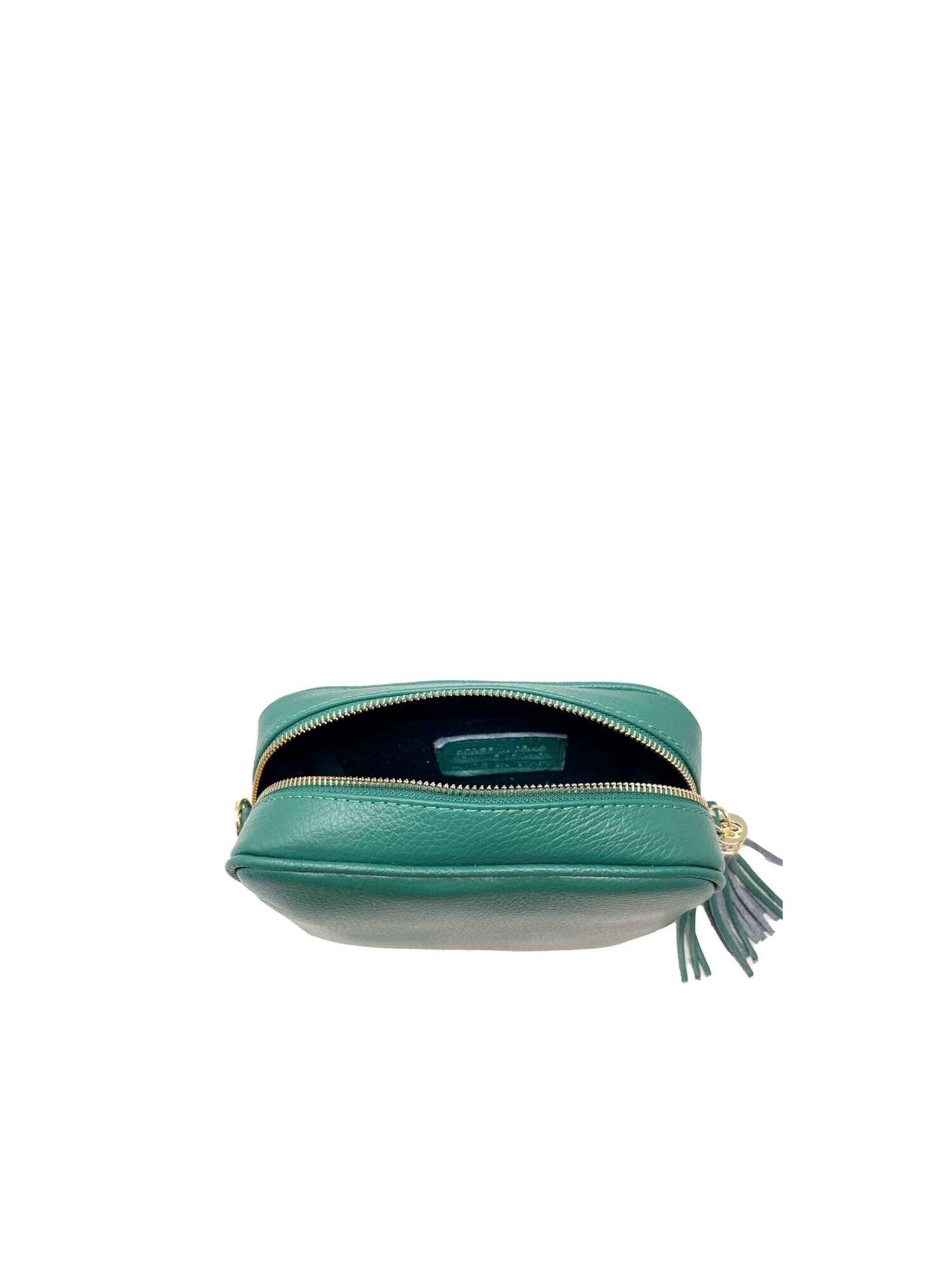 CHICCA BORSE Crossbody Bag in Green