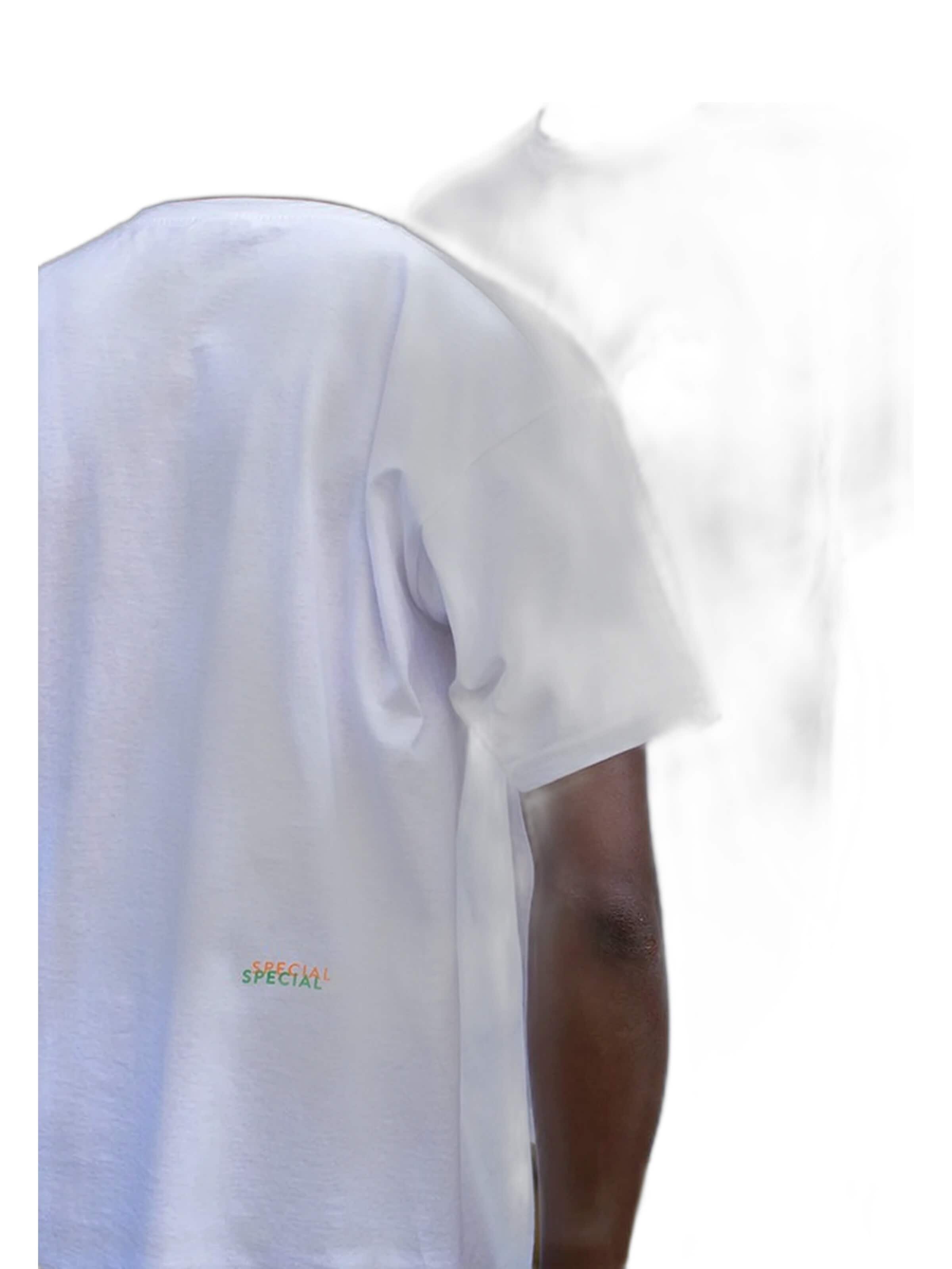 Kanten Shirt 'T-shirt Special' in Grey: front