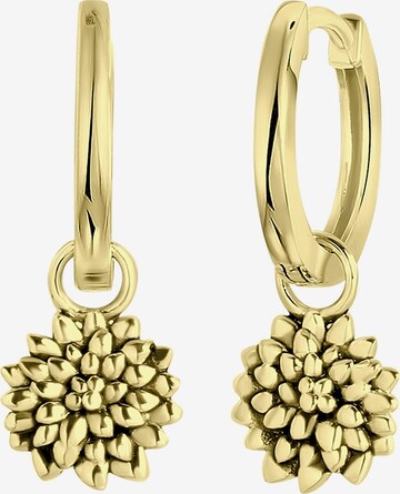 Boucles d'oreilles Lucardi en or : devant