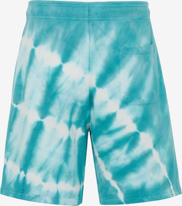 DICKIES Regular Shorts in Blau