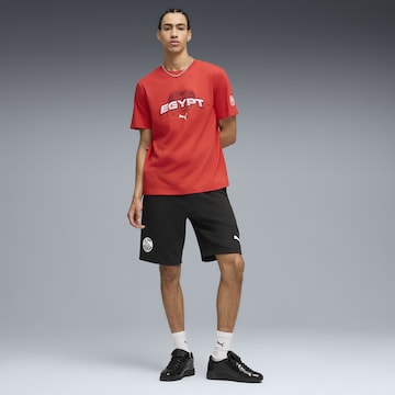 PUMA Functioneel shirt ' ftblCulture' in Rood