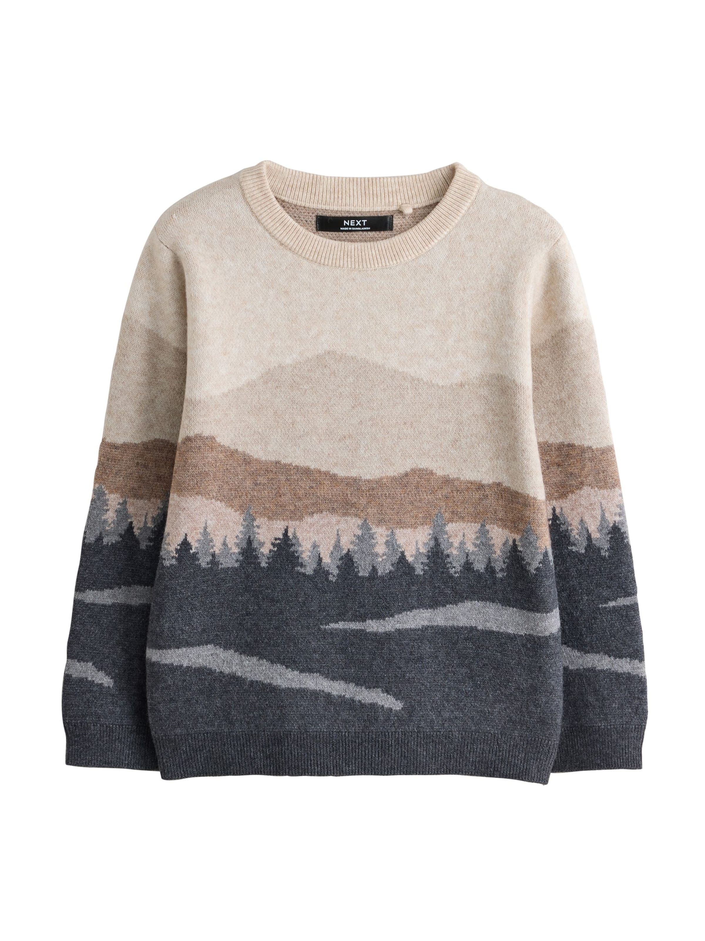 Pull-over 'Mountain' Next en marron : devant
