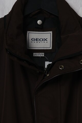 GEOX Jacke L-XL in Braun