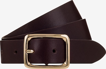 Ceinture VANZETTI en marron : devant