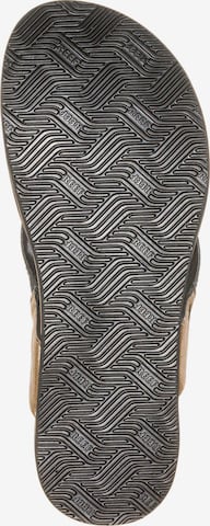 REEF T-Bar Sandals 'Newport' in Black