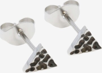 FIRETTI Earrings in Grey: front