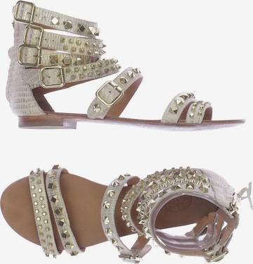 ASH Sandals & High-Heeled Sandals in 36 in Beige: front