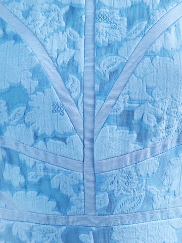 Ted Baker Jurk 'LEESAA' in Blauw