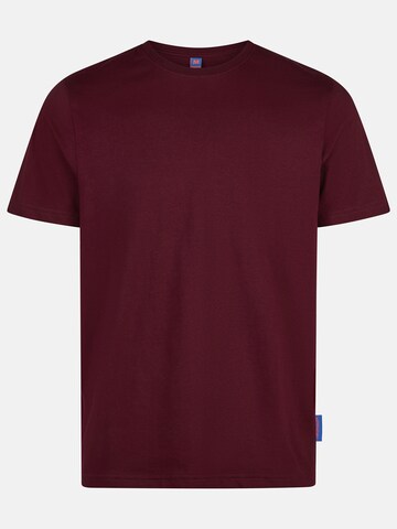 salzhaut Shirt 'Diek' in Rood