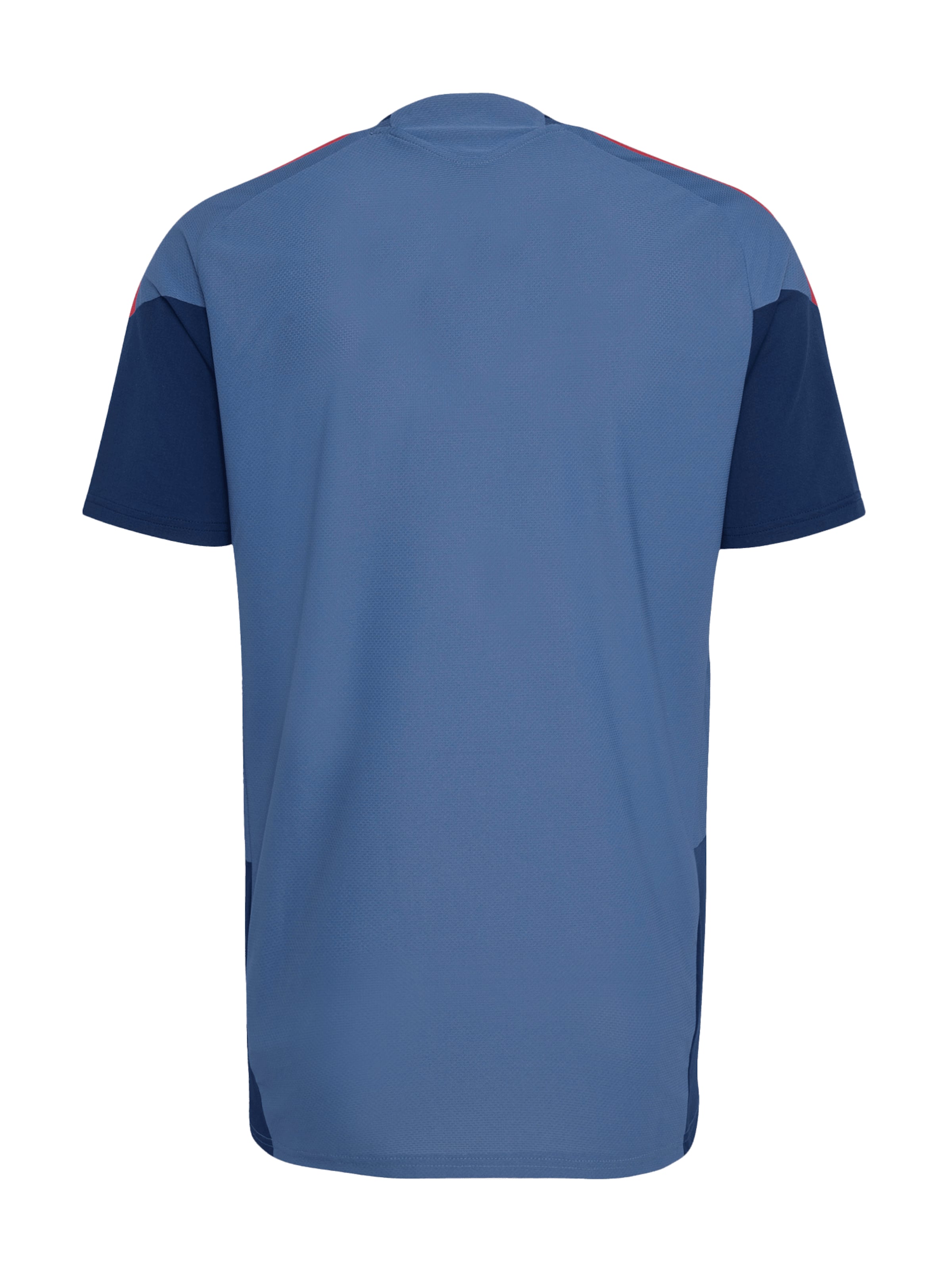 ADIDAS PERFORMANCE Performance Shirt in Blue