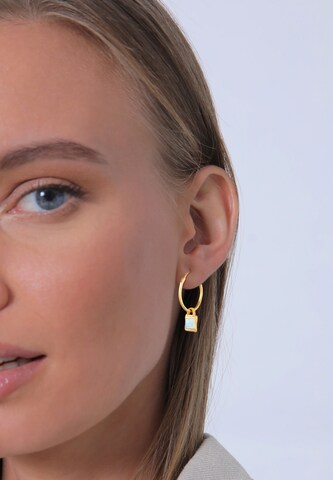 ELLI PREMIUM Earrings in Gold: front