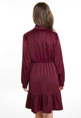usha BLACK LABEL Kleid in Rot