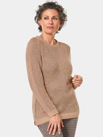 Goldner Sweater in Brown: front