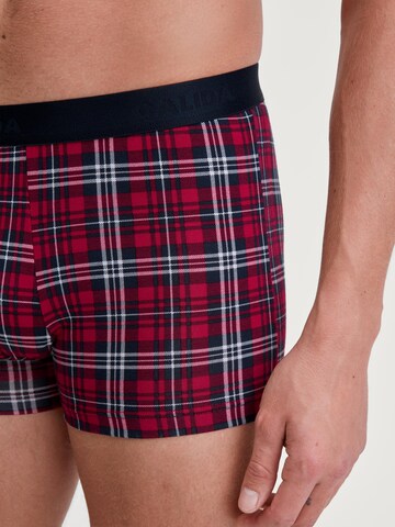 CALIDA Boxershorts 'Family & Friends' in Rood
