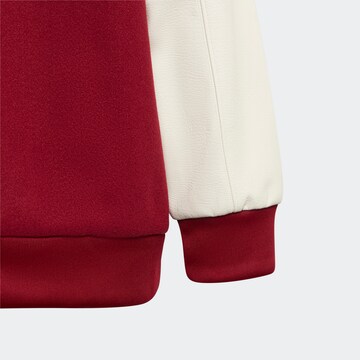 ADIDAS ORIGINALS Outdoorová bunda 'Adicolor Vrct' – červená