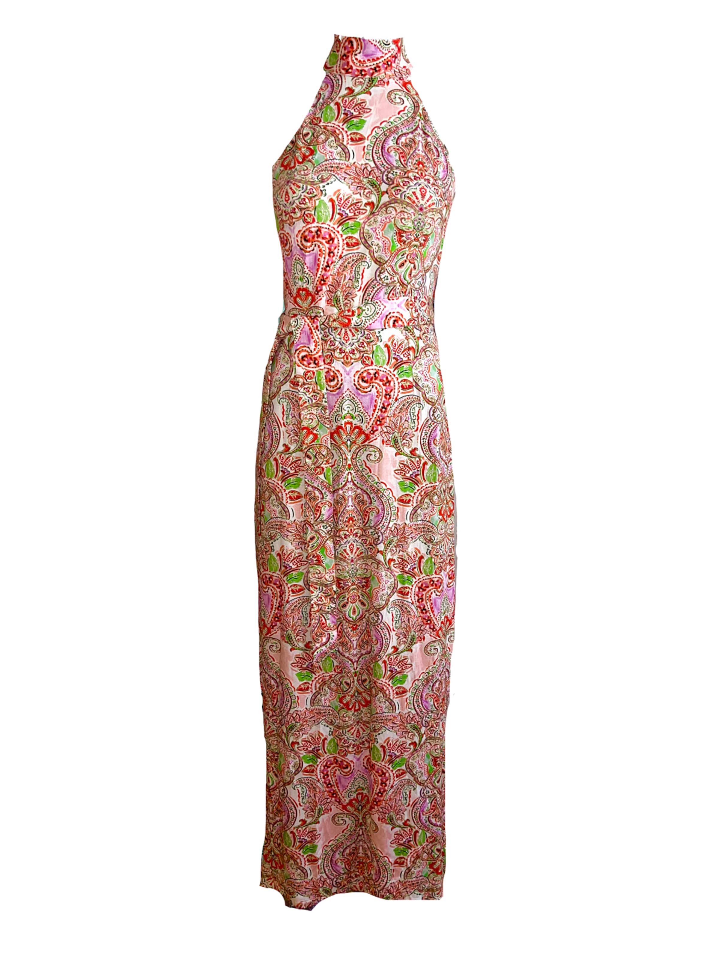 Introvertie VIENNA Dress 'Nolita' in Mixed colors: front