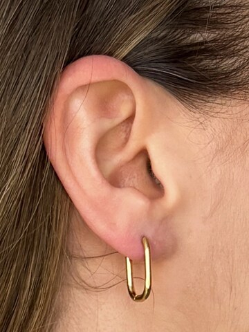 lePelou Earrings 'LUCIA' in Gold