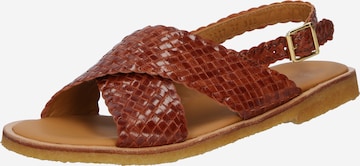 Sandales ANGULUS en marron : devant
