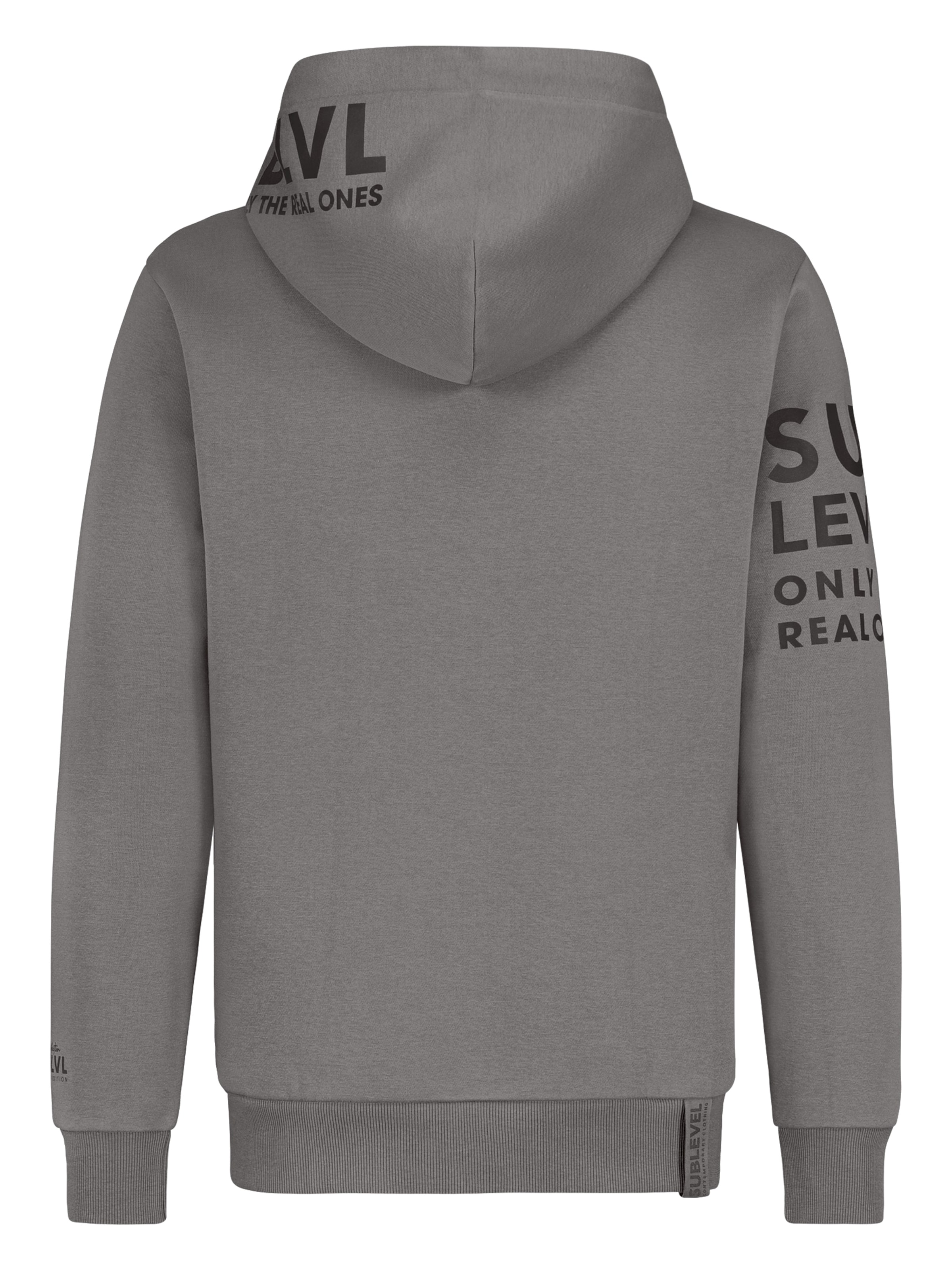 Sublevel Sweatshirt in Grau
