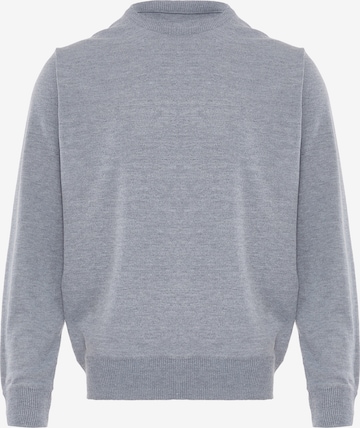 CELOCIA Sweater in Grey: front