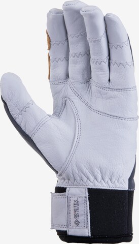 Hestra Sports gloves 'Ergo Grip Active' in Grey