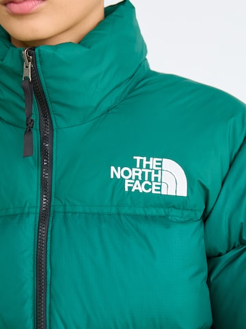 THE NORTH FACE Zimska jakna '1996 Retro Nuptse' | zelena barva