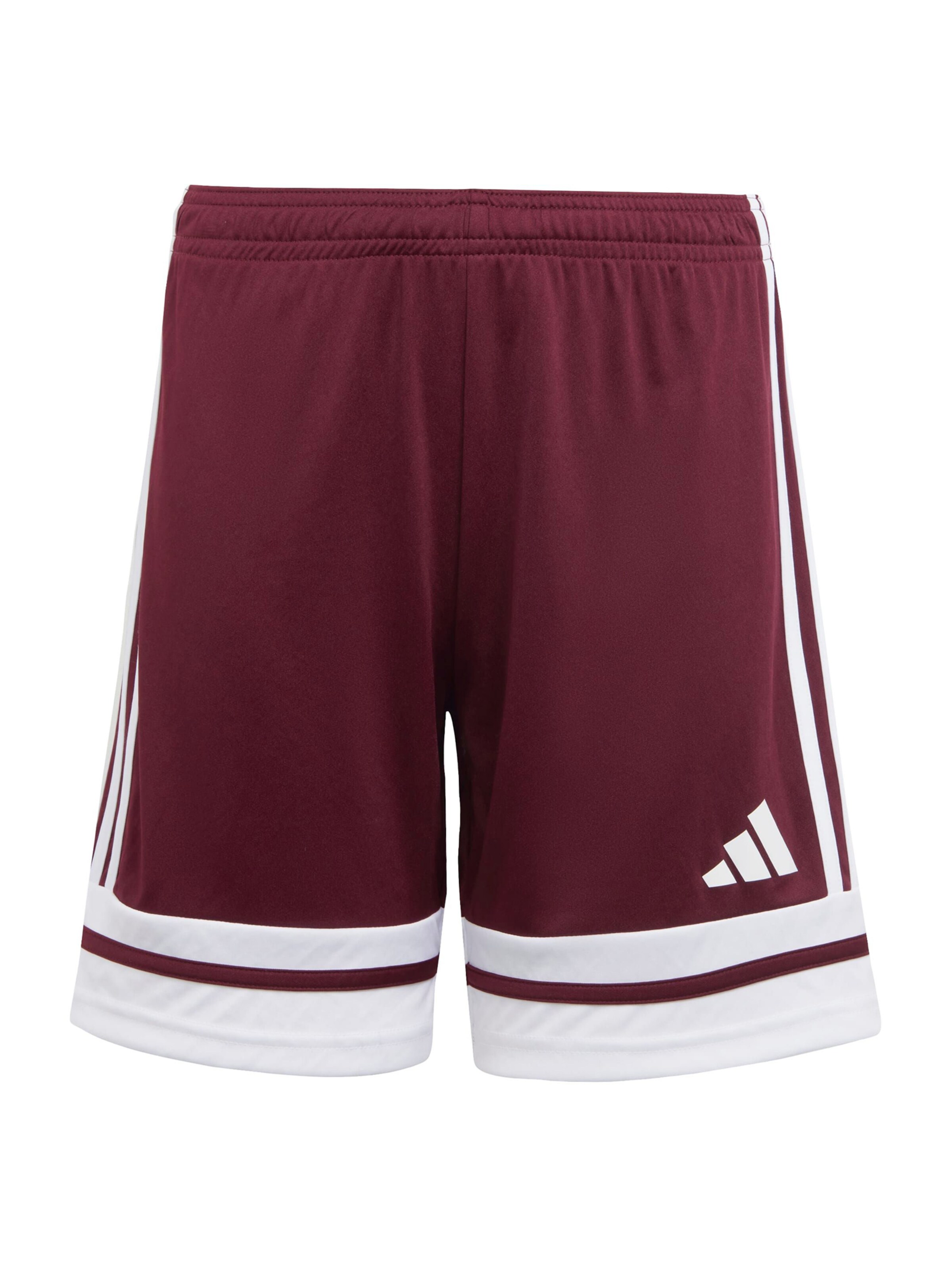 ADIDAS PERFORMANCE Спортивные штаны 'Squadra 25' в Красный: спереди