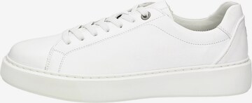 SIOUX Sneakers laag in Wit