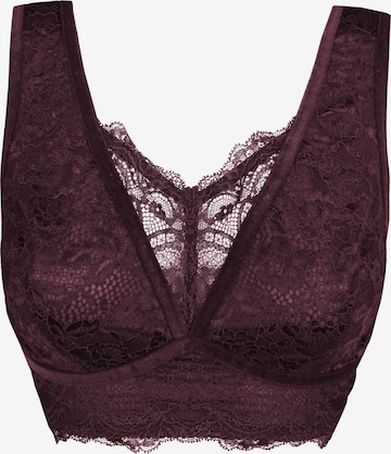 Bustier Soutien-gorge 'Eliana' SugarShape en marron : devant