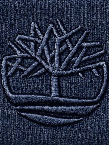 TIMBERLAND Čepice – modrá