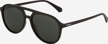 Polaroid Sunglasses in Brown: front