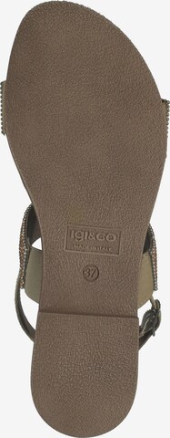 Sandales IGI&CO en argent