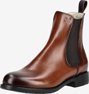 Chelsea Boots LLOYD SELECTED en marron : devant
