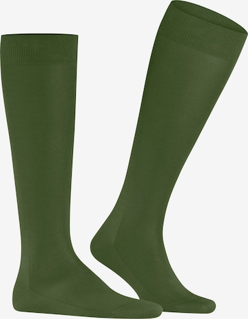 FALKE Knee High Socks 'Tiago' in Green: front