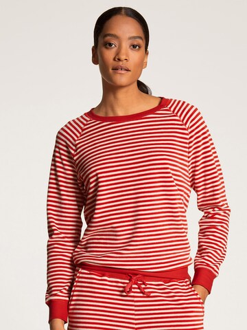 CALIDA Sweatshirt in Red: front