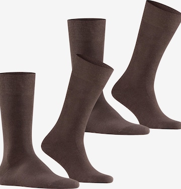 FALKE Socks 'Swing 2-Pack' in Brown: front