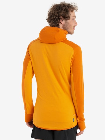 ICEBREAKER Sportsweatshirt 'Quantum ZoneKnit' i oransje