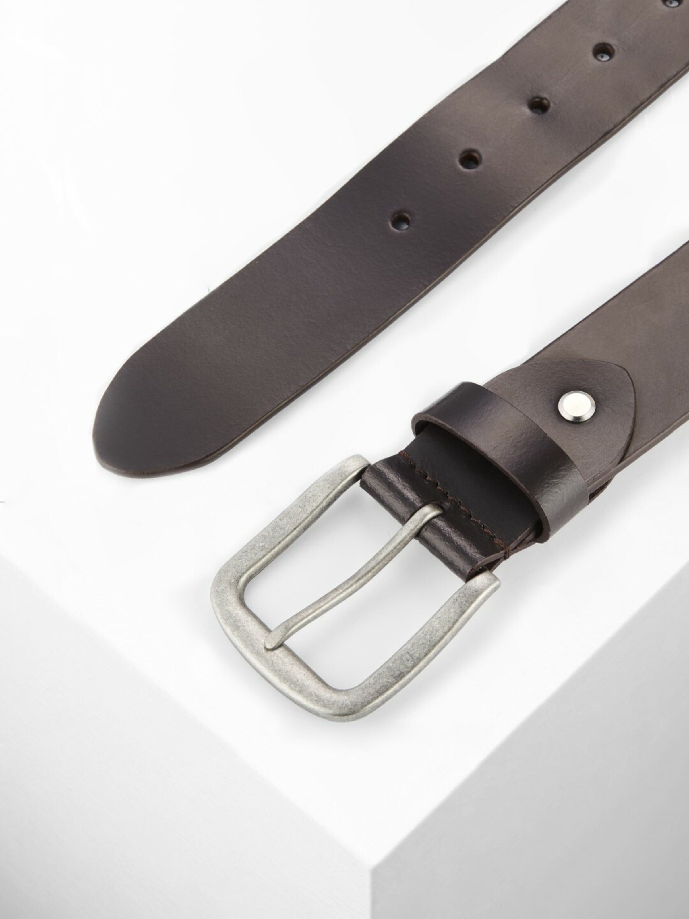 PADDOCKS Belt in Brown