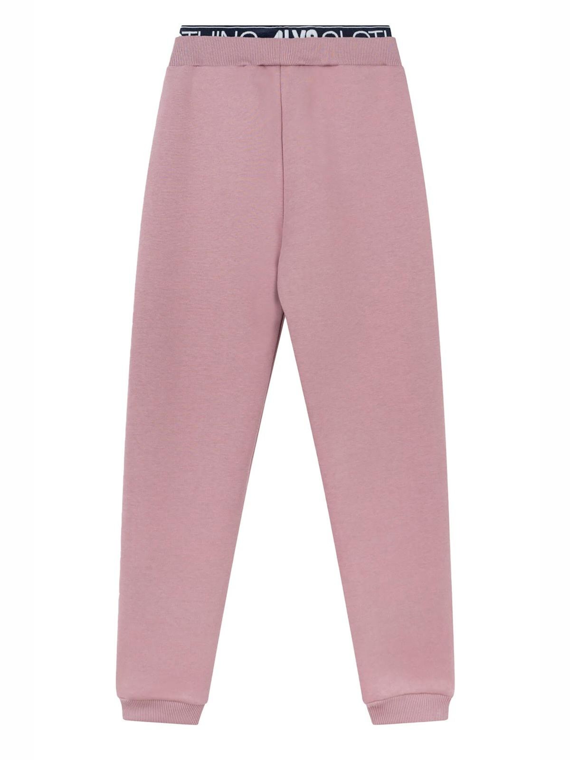 NOORLYS Regular Workout Pants 'CLASSIC' in Pink